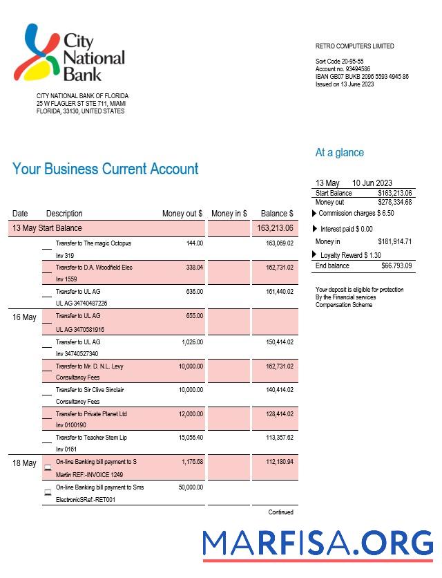 Blank City National Bank of Florida firm account statement Word and PDF template